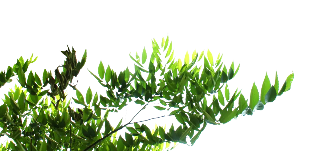 Au Gres Des Jardins Paysagiste Corne Pngegg 2026 04 07T100211.389 1